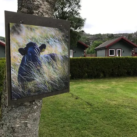 Naf Steinsnes Campsite Egersund