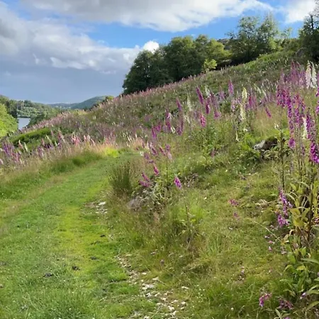 Naf Steinsnes Campsite *