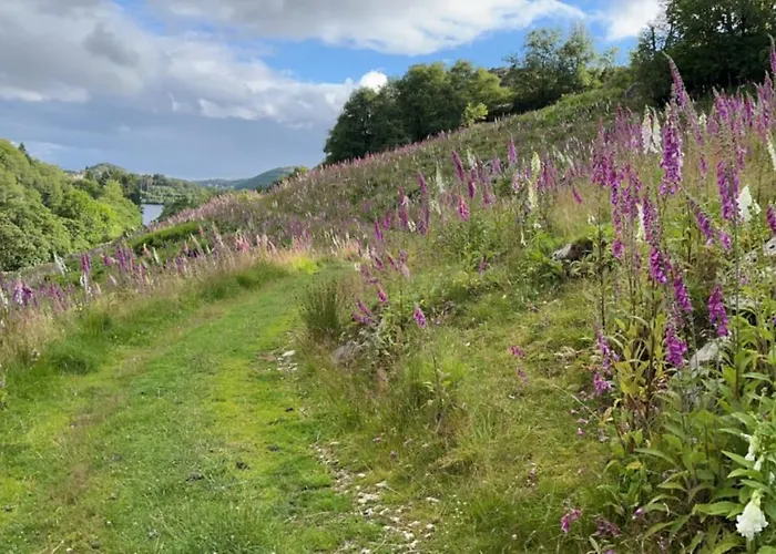 Naf Steinsnes Parque de Campismo *
